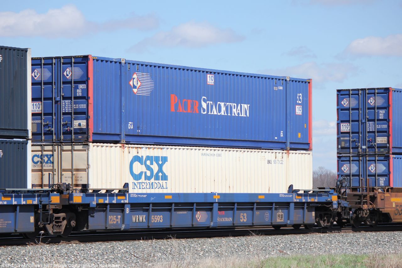 WRWK 5593