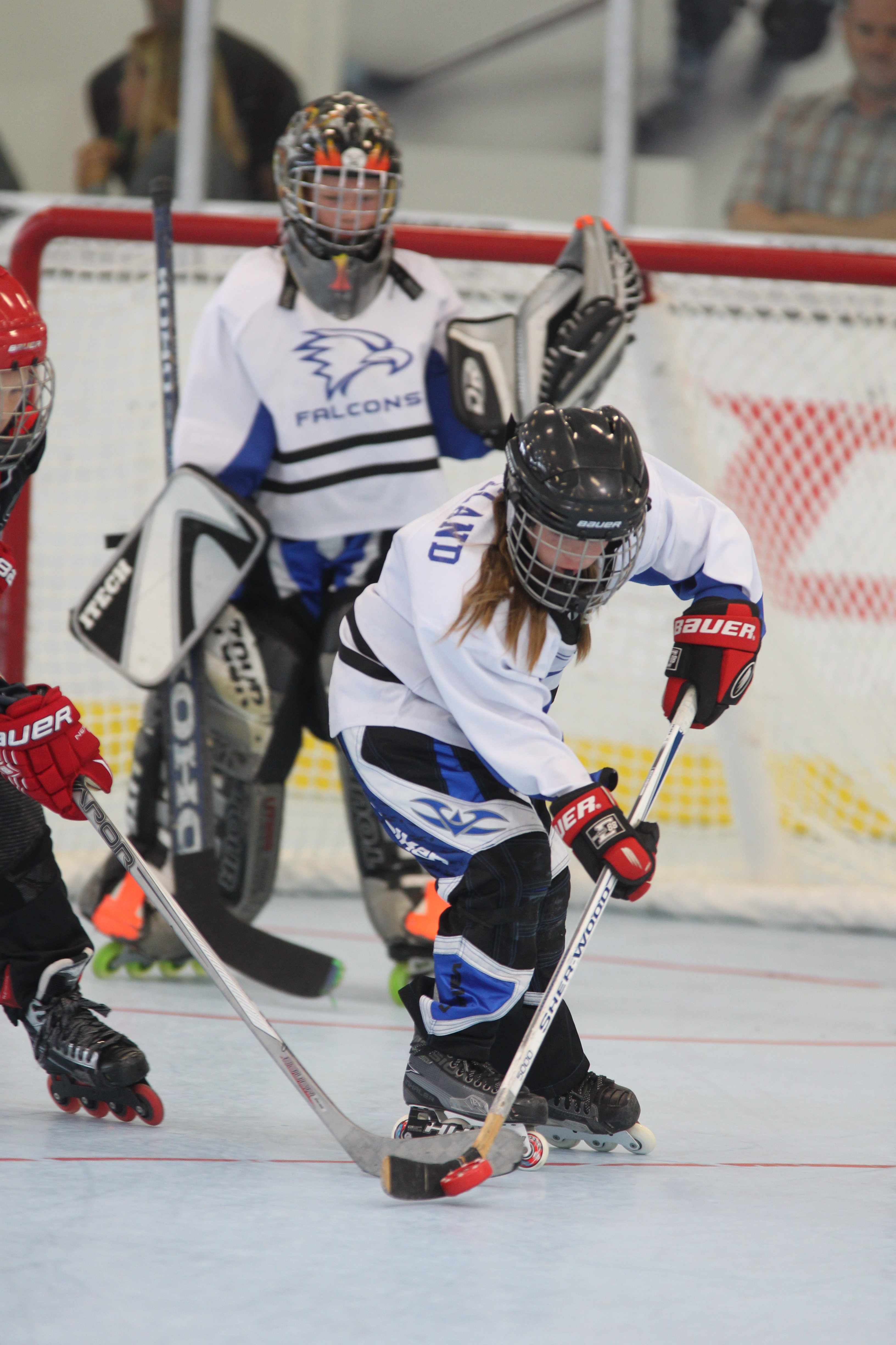 2015 AAU Inline Junior Olympics AAU Inline Hockey (old)