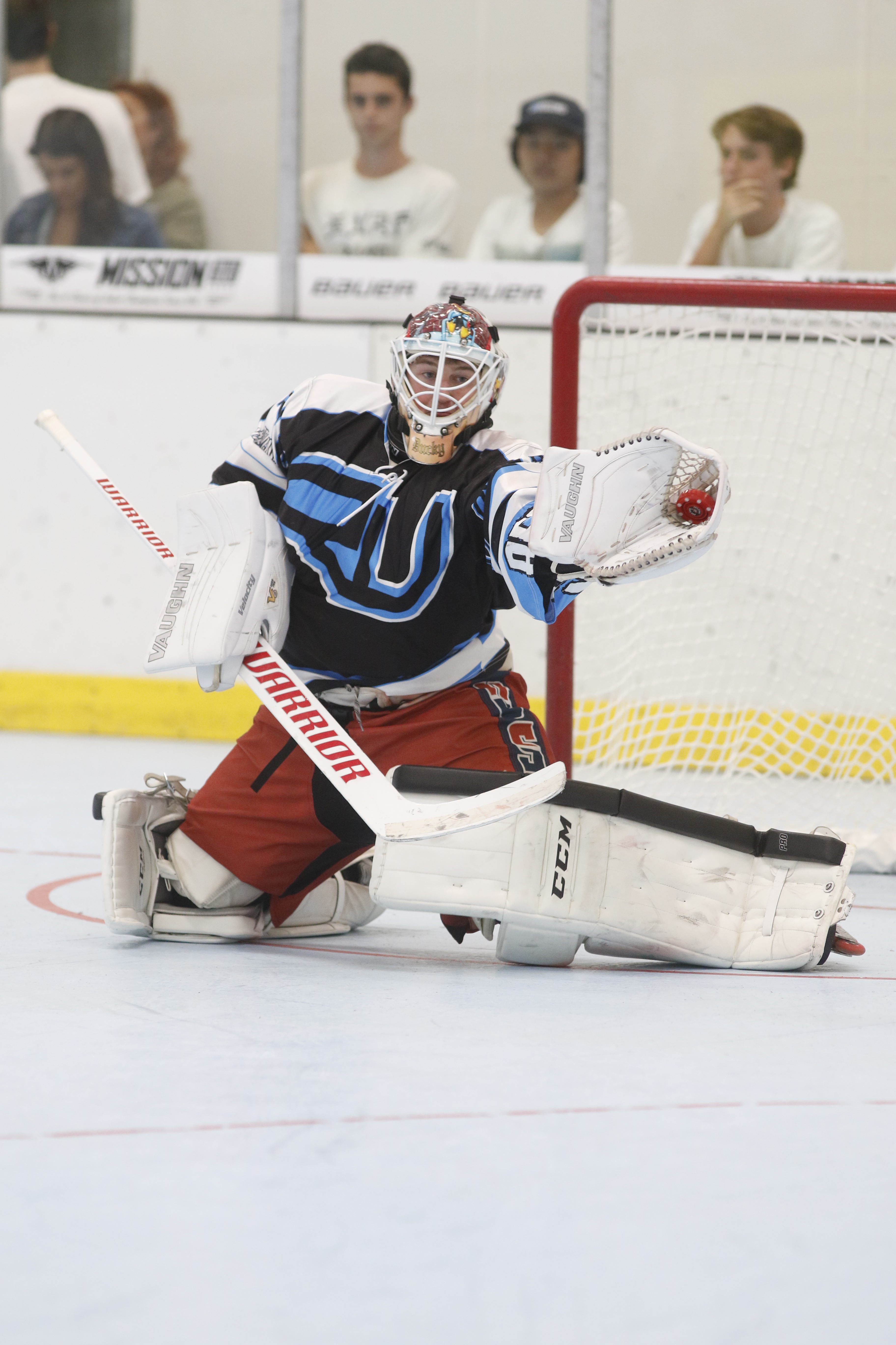 2015 AAU Inline Junior Olympics AAU Inline Hockey (old)