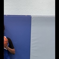 Crystal long williams