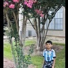 Img 8950
