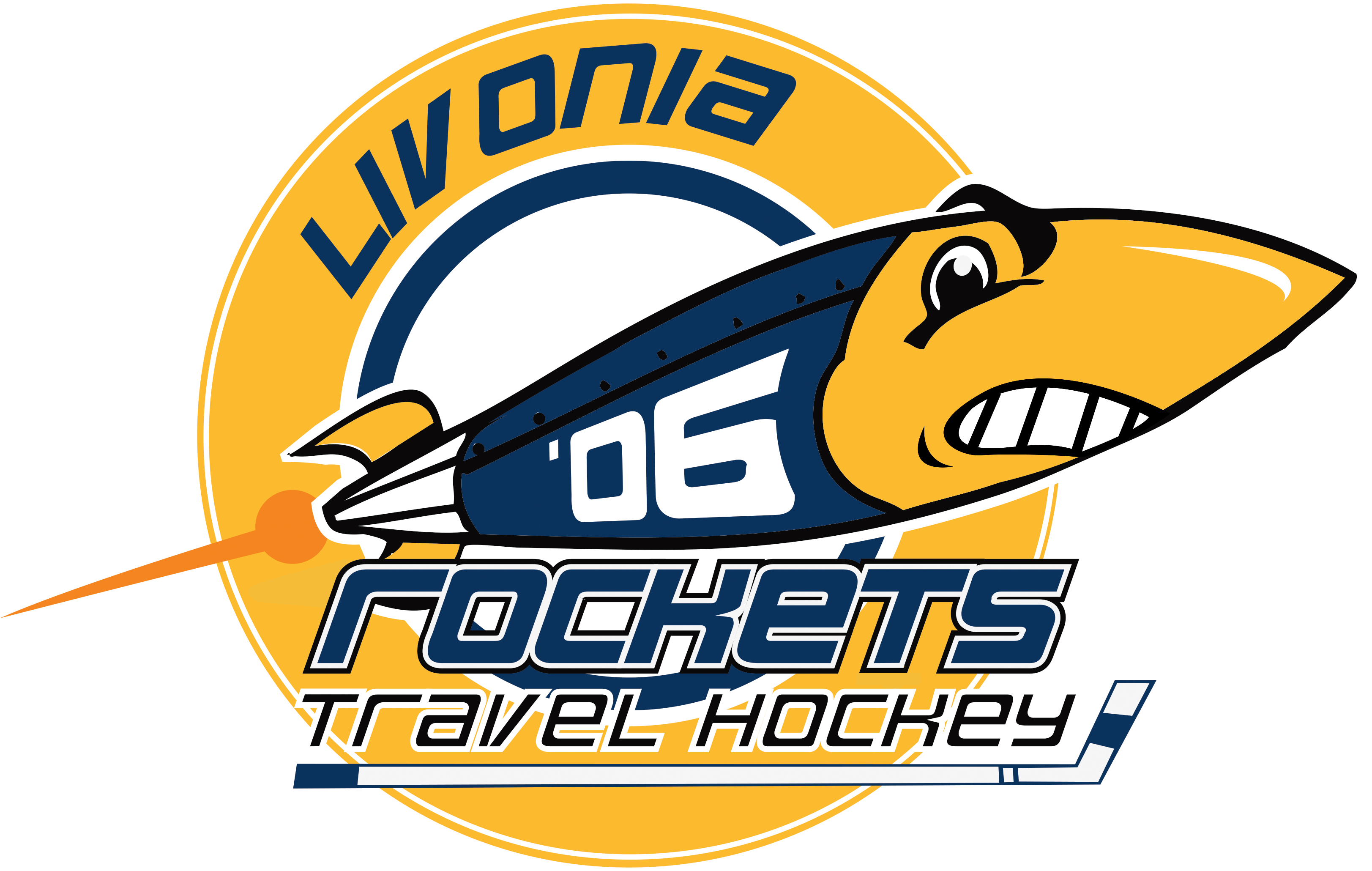 Tournaments Standing AAU Ice Hockey