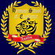 Hse austin logo (1)