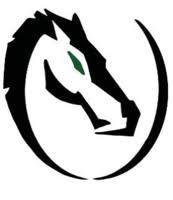 Basketball logo