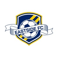 Soccer shield
