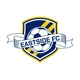 Soccer shield