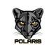 Polaris panther