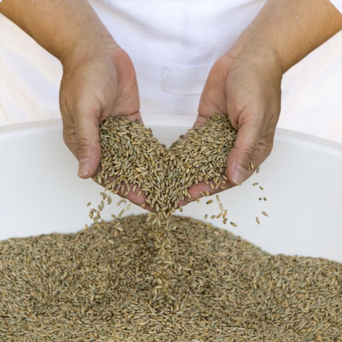 S1E04 Nan Kohler from Grist and Toll (Pasadena,CA) teaches us about artisan flour milling episode artwork