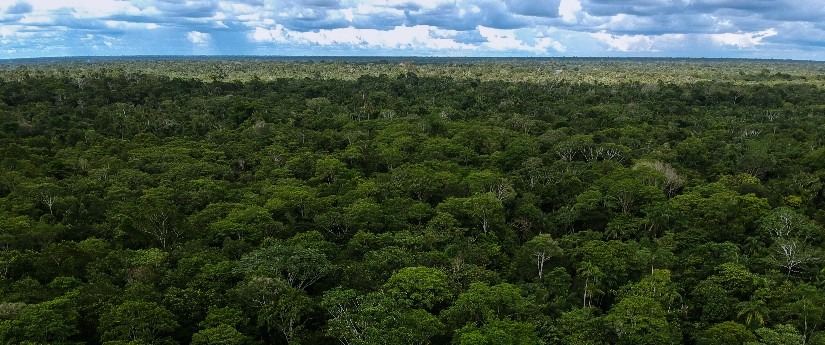 Foto: Ministerio de Ambiente