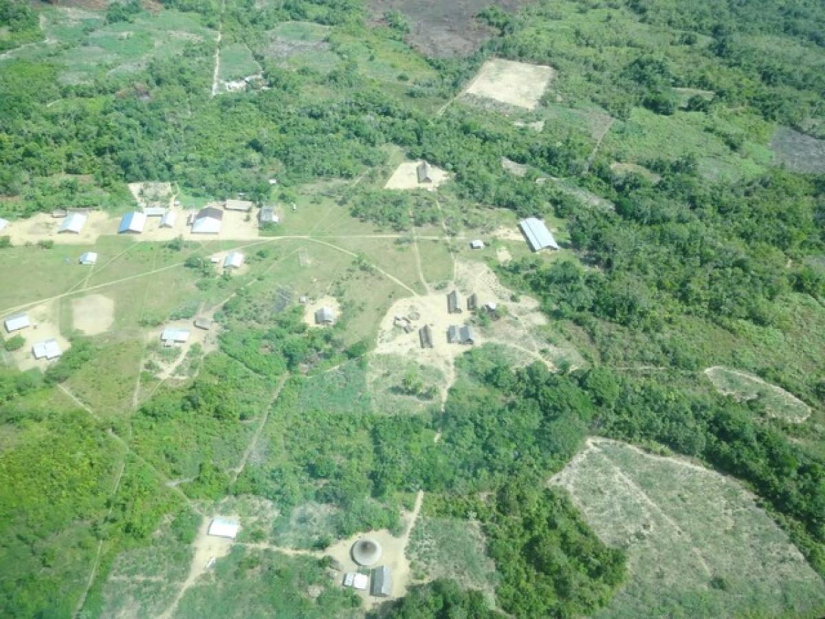 Las causas de la pérdida de bosques en Colombia: la deforestación