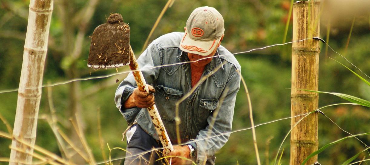 agricultor 