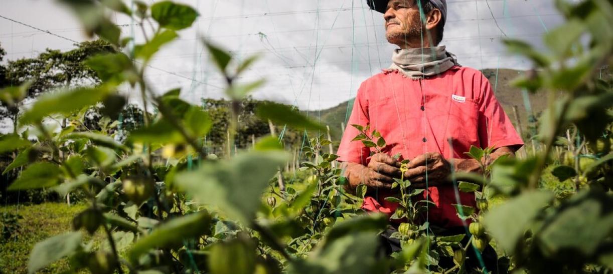 Crédito para emprendimiento rural con Ministerio de Agricultura.