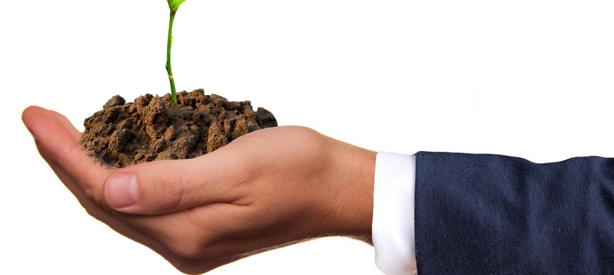 Descuentos en impuestos para empresas que cuidan el medio ambiente.