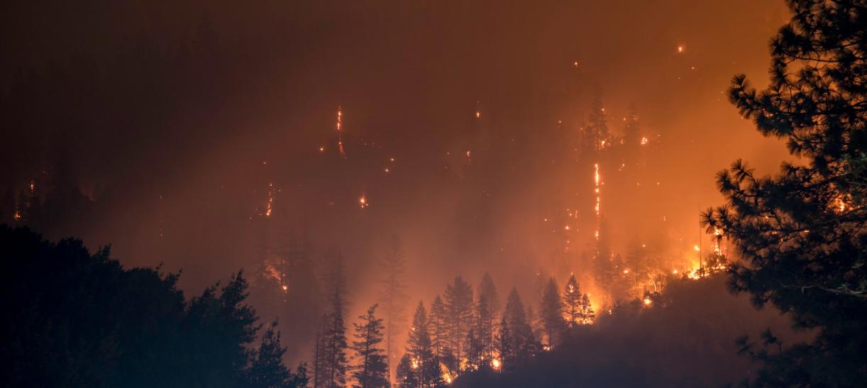 Bosque incendiándose. ilustra nota sobre incendios forestales en Colombia.