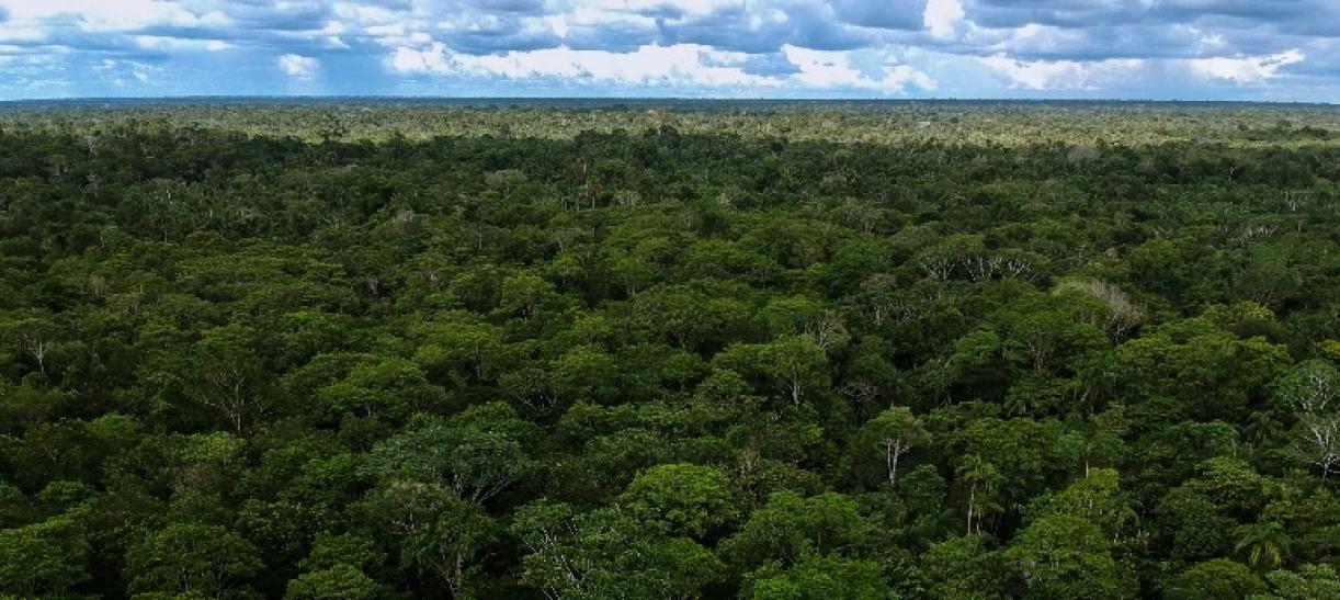 Foto: Ministerio de Ambiente