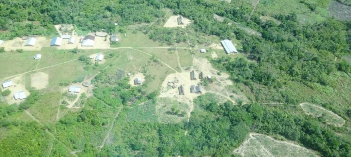 Las causas de la pérdida de bosques en Colombia: la deforestación