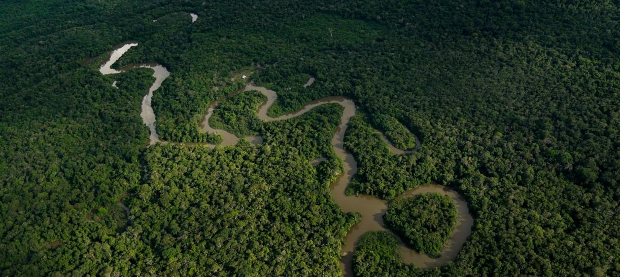 Amazonía: acciones del Gobierno Nacional para proteger el medio ambiente