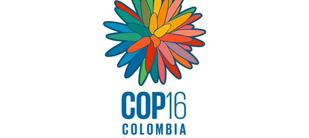 COP16: qué es, por qué será en Cali y agenda completa
