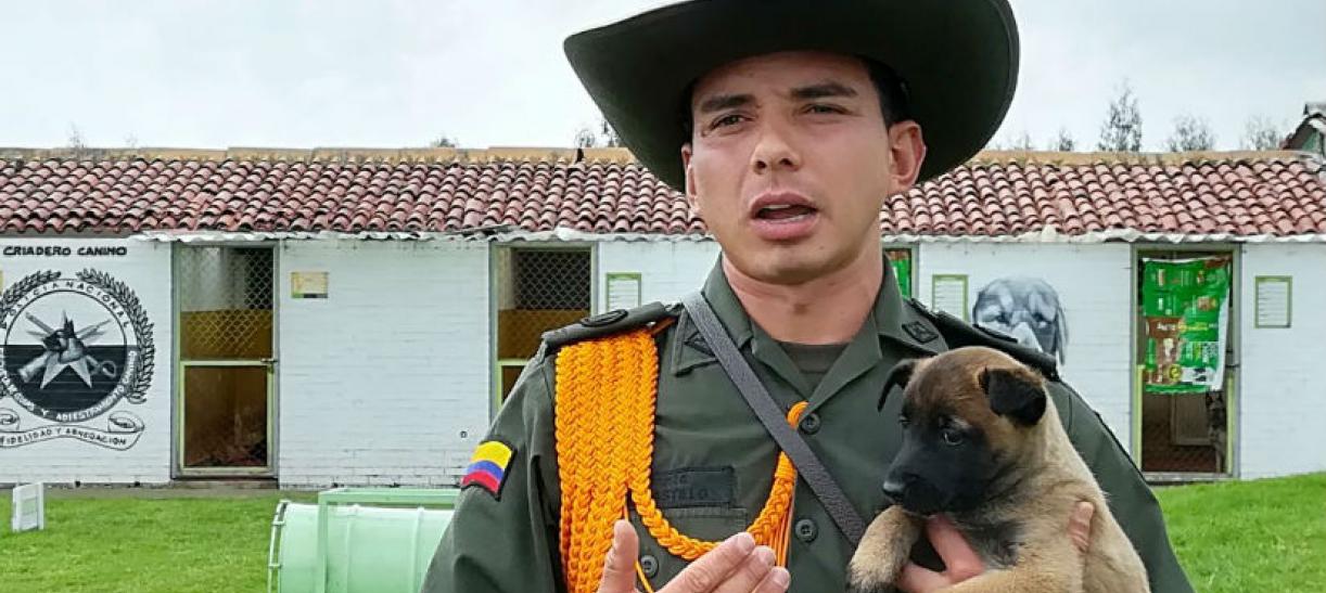 Imagen de un policía con un perro cachorro