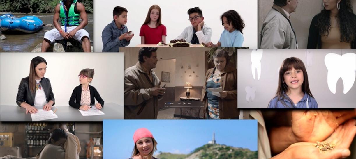 Varias imagenes de los programas nominados a los Premios TAL