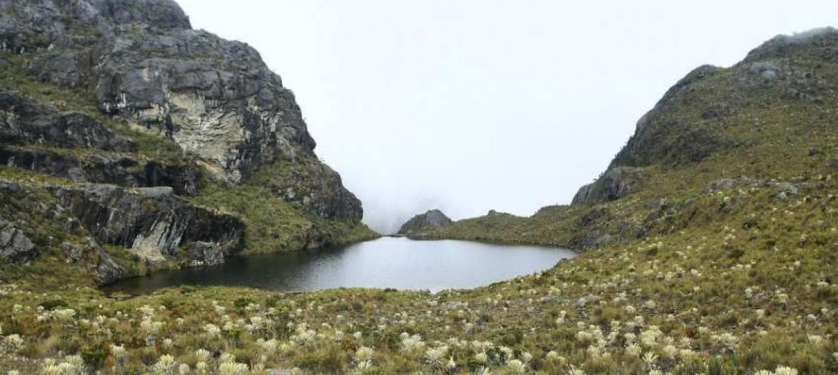 Panorámica del páramo de Santurbán luego de que se archivara el proyecto de Minesa