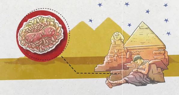 Viruela: la pandemia que más afectó a los indígenas