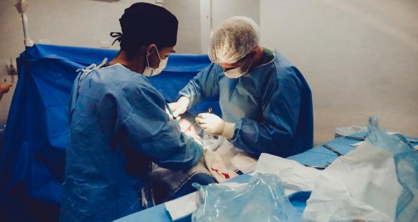 ¿Quieres ser donante de órganos? Conoce aquí el proceso en Colombia