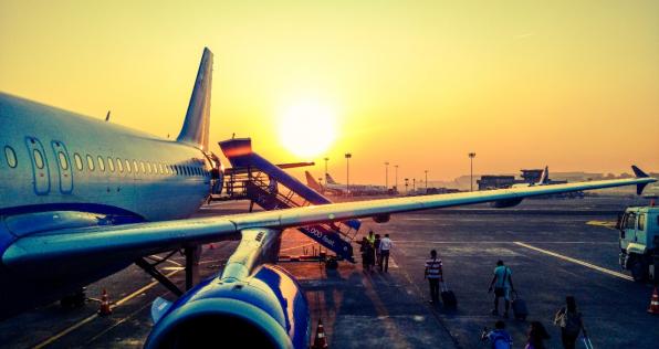 Lo que debes tener en cuenta para viajar con mascotas en avión