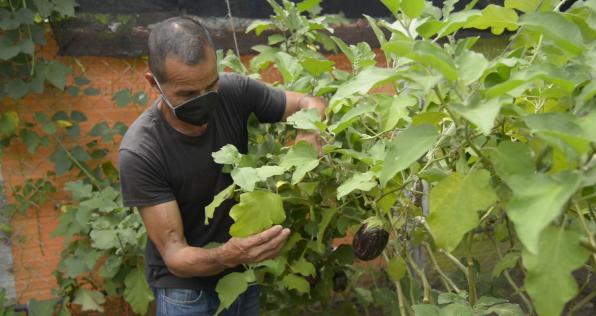 Ahora podrás hacer tu huerta en casa con Canal Institucional