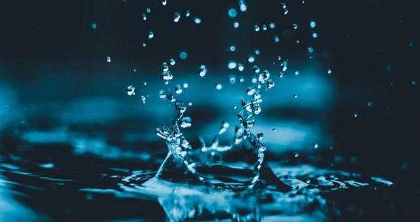¿Por qué se celebra el Día Mundial del Agua?