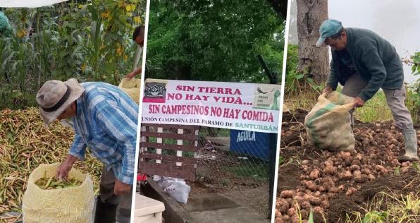 Los emprendimientos que demuestran el empuje de nuestros campesinos 