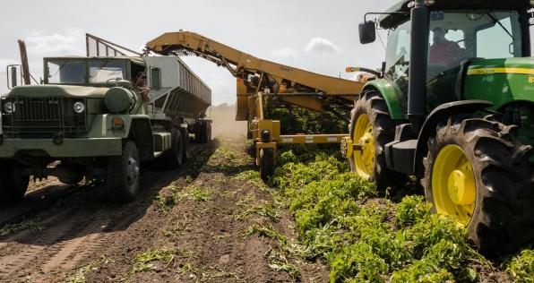 FAO se retracta de señalar a Colombia como país en riesgo de “hambre aguda”