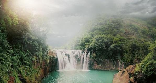 Bosques tropicales en Colombia: indispensables para la vida