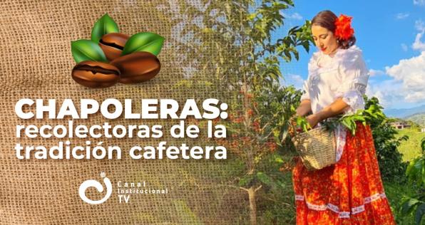 Chapoleras: recolectoras de la tradición cafetera