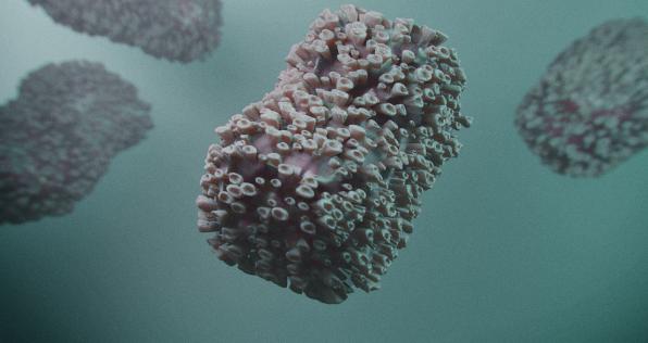 Recomendaciones para evitar el contagio de la viruela símica 