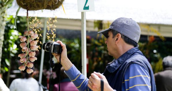 ¡Regresa el Jardín de noche al Jardín Botánico! Conoce toda la programación