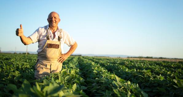 Comienza 2023 con trabajo en el exterior: hay 302 vacantes en 4 países