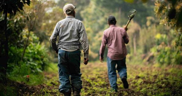 Agencia Nacional de Tierras busca resolver más de 80.000 solicitudes de tierras