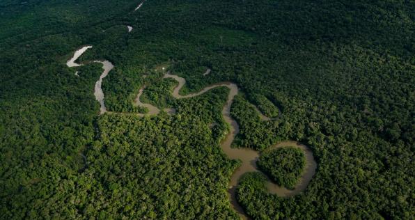 Respira Amazonía: acciones del Gobierno Nacional para proteger el Amazonas