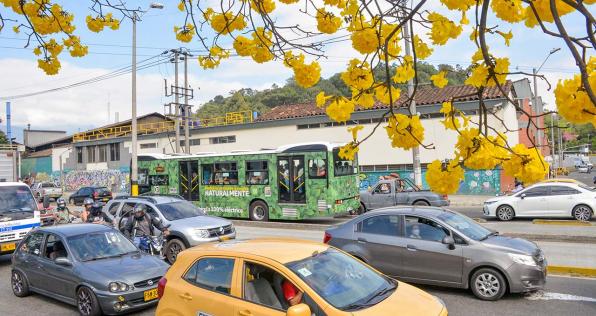 Pico y placa diciembre: ¿cómo funcionará la medida durante las fiestas de fin de año?