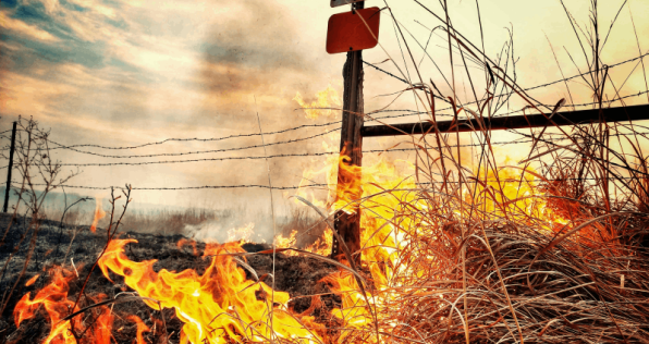 Los incendios forestales en Colombia: Una crisis en desarrollo