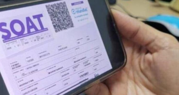 Con una reducción del 8.68%, conoce cuáles son las nueva tarifas del SOAT para el 2025
