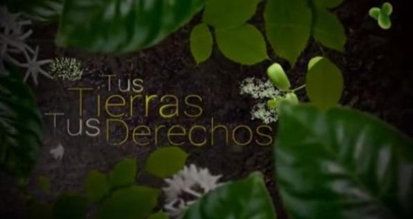 Montes de María: hacia la restitución de tierras