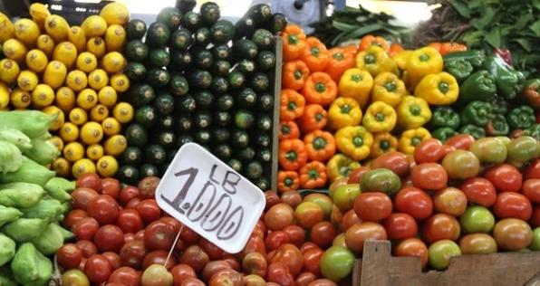 9 pequeños productores representarán a Colombia en Expo Milano 2015