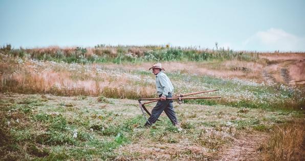 El apoyo a víctimas de desplazamiento con su trabajo en el campo
