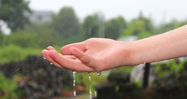 Sigue estos consejos, ahorra dinero y salva el planeta