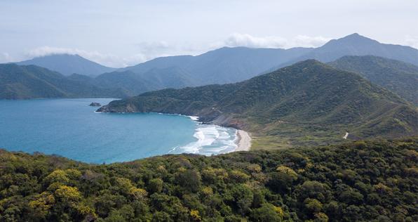 Alianza Regional, el espacio informativo para toda Colombia