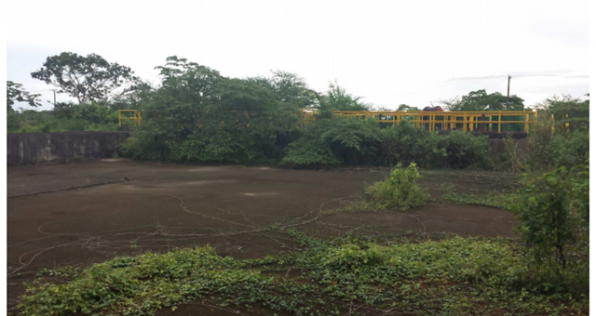 Nueva masacre en Colombia: cinco víctimas en Arauca