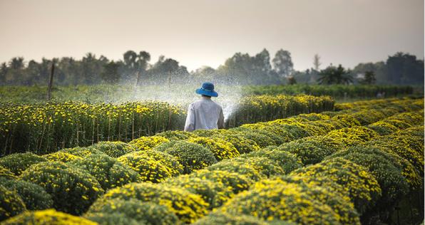 Conoce la convocatoria para apoyar a miles de campesinos