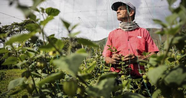 La línea de crédito que apoya a los productores del campo
